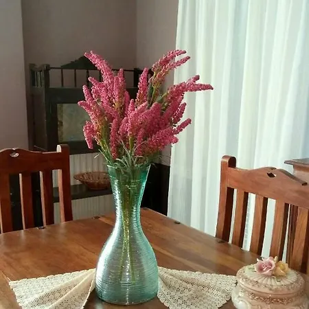 Panana Irida Apartment
